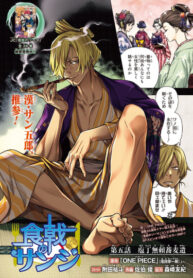 Cover 31296
