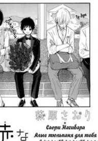Cover 31320