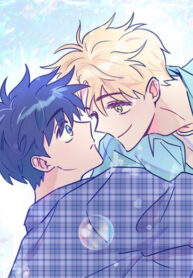 Cover 31329
