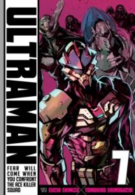 Cover 31381