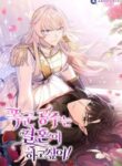 Cover 31386