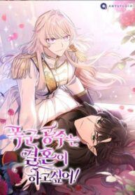 Cover 31386