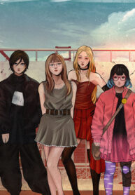 Cover 31455