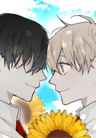 Cover 31473