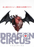 Cover 31517