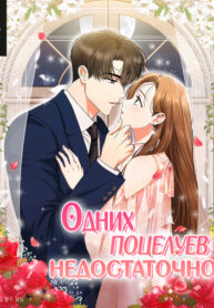 Cover 31521