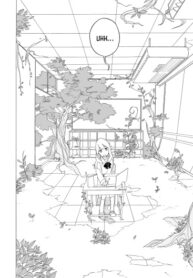 Cover 31525