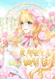 Cover 31542