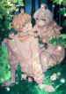 Cover 31561