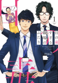 Cover 31567