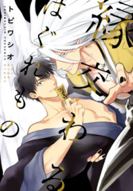 Cover 31676