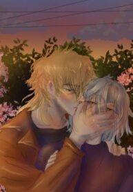 Cover 31678