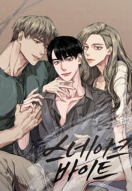 Cover 31690