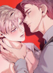 Cover 31704
