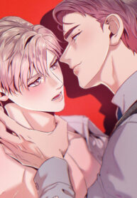 Cover 31704