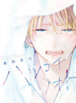 Cover 31705
