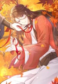 Cover 31712
