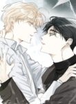 Cover 31720