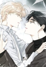 Cover 31720