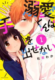 Cover 31782