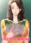 Cover 31800