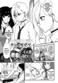 Cover 31806