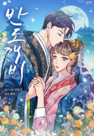 Cover 31884