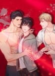 Cover 31902