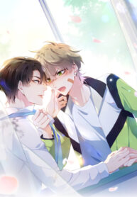 Cover 31906