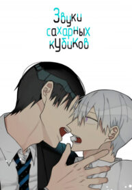 Cover 31920