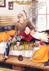 Cover 31990