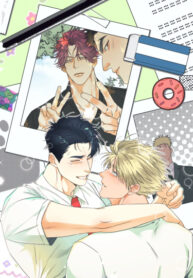 Cover 32186