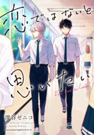 Cover 32194
