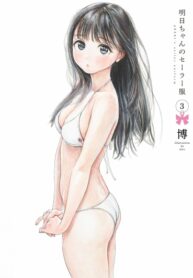 Cover 32208
