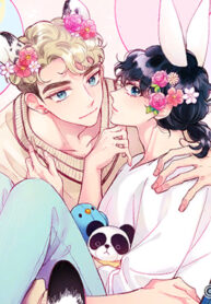 Cover 32278