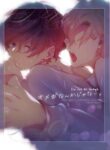 Cover 32520