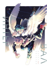 Cover 32530
