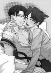 Cover 32550
