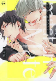 Cover 32590