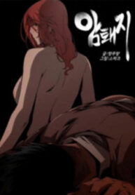 Cover 32596