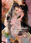 Cover 32706