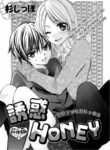 Cover 32789