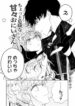 Cover 32900