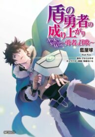 Cover 33005