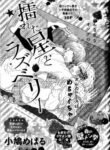 Cover 33011