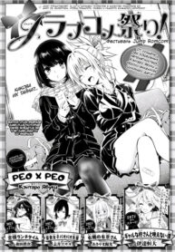 Cover 33037