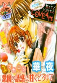 Cover 33040