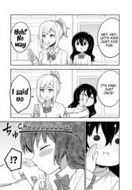 Cover 33065