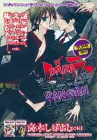 Cover 33080