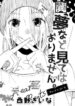Cover 33086